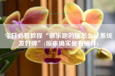 今日必看教程“微乐跑的快怎么让系统发好牌	”(原来确实是有插件)