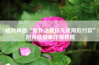 辅助神器“德扑之星挂先试用后付款	”附开挂脚本详细教程