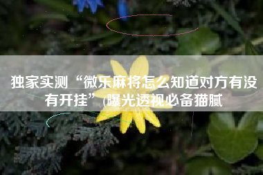 独家实测“微乐麻将怎么知道对方有没有开挂”(曝光透视必备猫腻