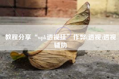 教程分享“wpk透视挂”作弊(透视)透视辅助