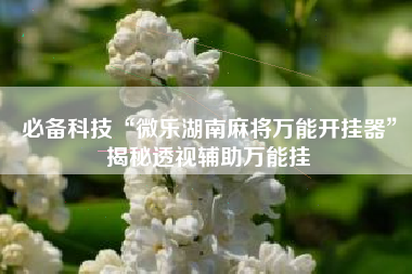 必备科技“微乐湖南麻将万能开挂器	”揭秘透视辅助万能挂