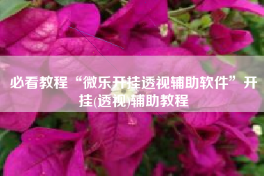 必看教程“微乐开挂透视辅助软件”开挂(透视)辅助教程