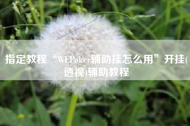 指定教程“WEPoker辅助挂怎么用”开挂(透视)辅助教程