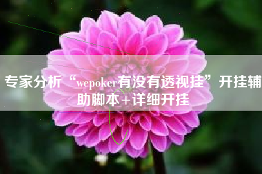 专家分析“wepoker有没有透视挂	”开挂辅助脚本+详细开挂