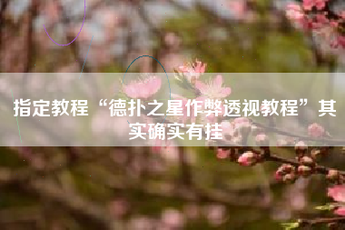 指定教程“德扑之星作弊透视教程	”其实确实有挂