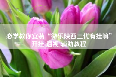 必学教你安装“微乐陕西三代有挂嘛”开挂(透视)辅助教程