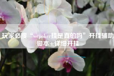 玩家必搜“wepoker挂是真的吗”开挂辅助脚本+详细开挂
