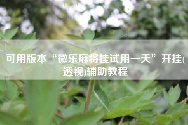 可用版本“微乐麻将挂试用一天”开挂(透视)辅助教程