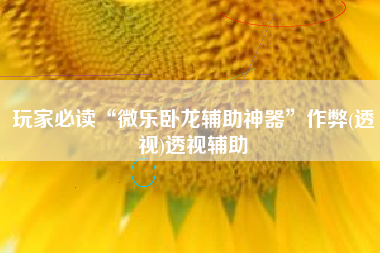 玩家必读“微乐卧龙辅助神器”作弊(透视)透视辅助