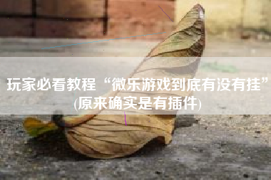 玩家必看教程“微乐游戏到底有没有挂	”(原来确实是有插件)
