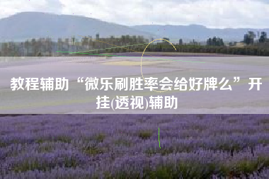 教程辅助“微乐刷胜率会给好牌么	”开挂(透视)辅助