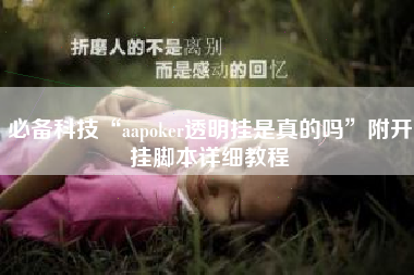 必备科技“aapoker透明挂是真的吗”附开挂脚本详细教程