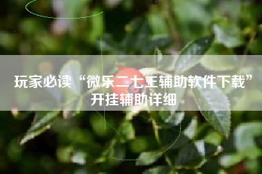 玩家必读“微乐二七王辅助软件下载”开挂辅助详细