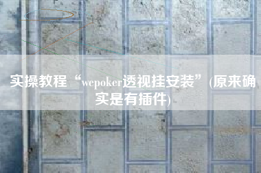 实操教程“wepoker透视挂安装”(原来确实是有插件)