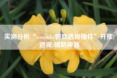 实测分析“waapoke辅助透视插件	”开挂(透视)辅助神器
