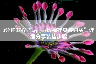 3分钟教程“wepoker透视挂安装购买”详细分享装挂步骤
