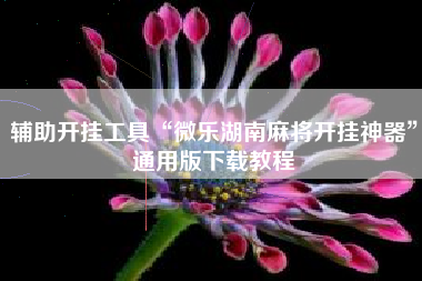 辅助开挂工具“微乐湖南麻将开挂神器”通用版下载教程