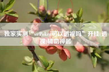 独家实测“wePoker可以透视吗”开挂(透视)辅助神器