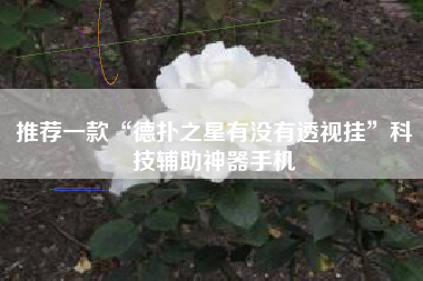 推荐一款“德扑之星有没有透视挂”科技辅助神器手机