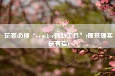 玩家必搜“wepoker辅助工具”(原来确实是有挂)