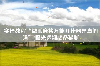 实操教程“微乐麻将万能开挂器是真的吗”(曝光透视必备猫腻