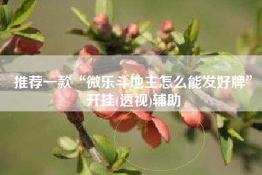 推荐一款“微乐斗地主怎么能发好牌”开挂(透视)辅助