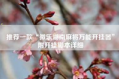 推荐一款“微乐湖南麻将万能开挂器”附开挂脚本详细