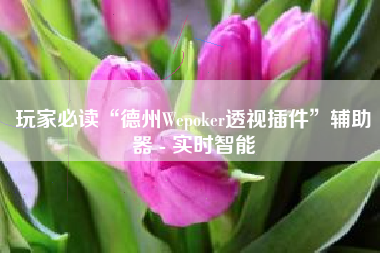 玩家必读“德州Wepoker透视插件	”辅助器 - 实时智能