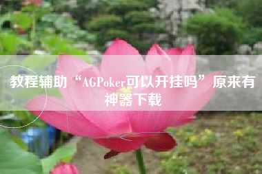 教程辅助“AGPoker可以开挂吗	”原来有神器下载