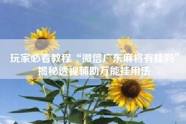 玩家必看教程“微信广东麻将有挂吗”揭秘透视辅助万能挂用法