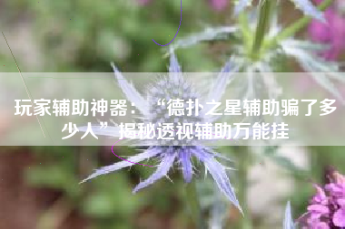 玩家辅助神器：“德扑之星辅助骗了多少人	”揭秘透视辅助万能挂