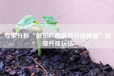 专家分析“微乐广西麻将开挂神器”详细开挂玩法