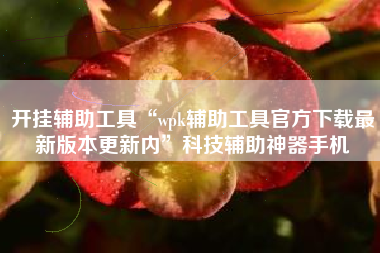开挂辅助工具“wpk辅助工具官方下载最新版本更新内	”科技辅助神器手机