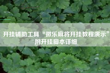 开挂辅助工具“微乐麻将开挂教程演示”附开挂脚本详细