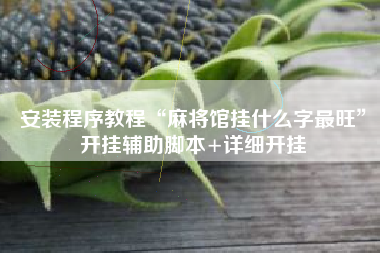 安装程序教程“麻将馆挂什么字最旺”开挂辅助脚本+详细开挂