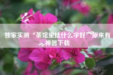 独家实测“茶馆里挂什么字好”原来有神器下载