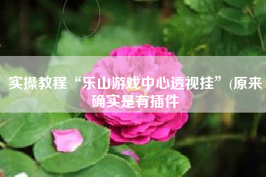 实操教程“乐山游戏中心透视挂	”(原来确实是有插件