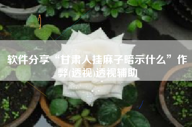 软件分享“甘肃人挂麻子暗示什么”作弊(透视)透视辅助