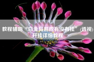 教程辅助“白金岛游戏有没有挂”(透视)开挂详细教程