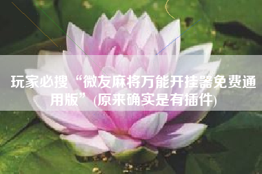 玩家必搜“微友麻将万能开挂器免费通用版	”(原来确实是有插件)