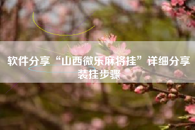 软件分享“山西微乐麻将挂”详细分享装挂步骤