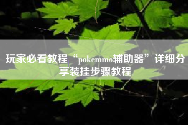 玩家必看教程“pokemmo辅助器”详细分享装挂步骤教程