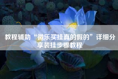 教程辅助“微乐买挂真的假的”详细分享装挂步骤教程