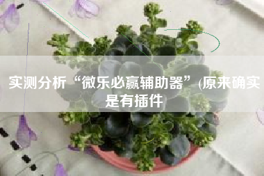 实测分析“微乐必赢辅助器”(原来确实是有插件