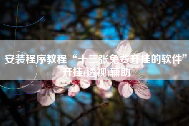 安装程序教程“十三张免费开挂的软件”开挂(透视)辅助