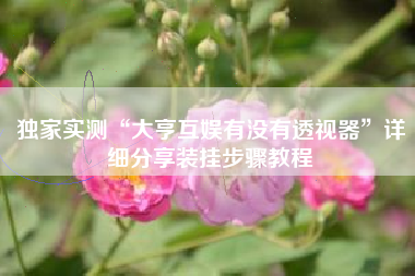 独家实测“大亨互娱有没有透视器”详细分享装挂步骤教程