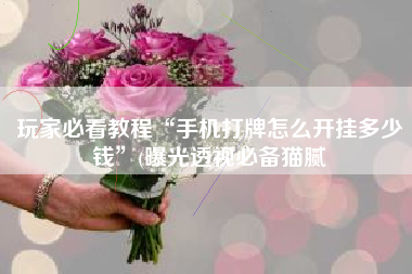 玩家必看教程“手机打牌怎么开挂多少钱”(曝光透视必备猫腻