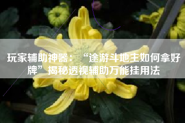玩家辅助神器：“途游斗地主如何拿好牌”揭秘透视辅助万能挂用法