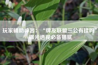 玩家辅助神器：“牌友联盟三公有挂吗”(曝光透视必备猫腻