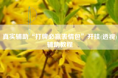 真实辅助“打牌必赢表情包	”开挂(透视)辅助教程